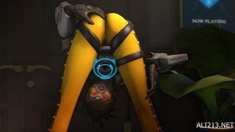 明了自己的 明了自己的